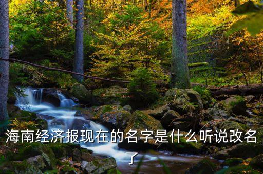 海南经济报现在的名字是什么听说改名了