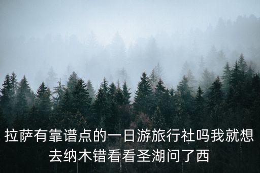 拉萨有靠谱点的一日游旅行社吗我就想去纳木错看看圣湖问了西