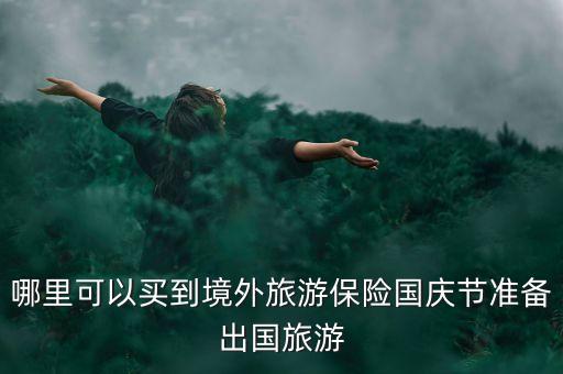 国际旅游保险在哪里买，境外旅行保险如何购买