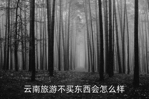 云南旅游不买东西会怎么样