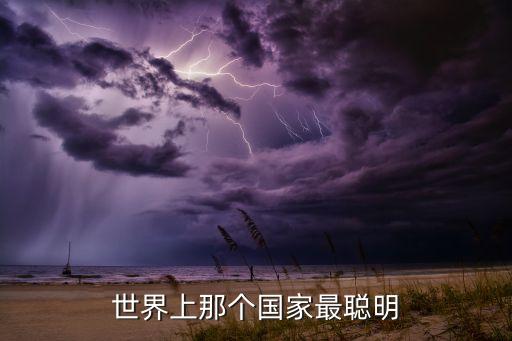 世界上最聪明国家，世界上最聪明的国家是哪个国家