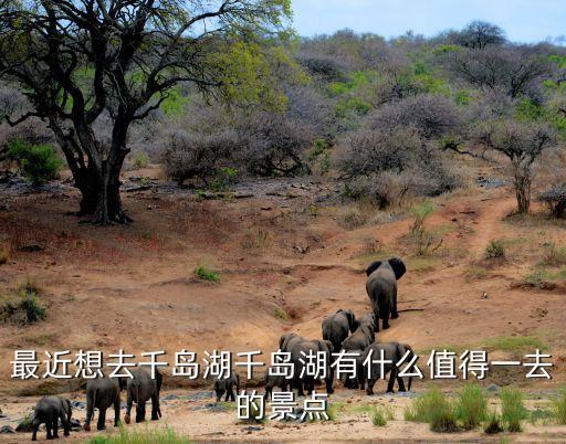 最近想去千岛湖千岛湖有什么值得一去的景点