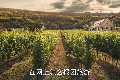 网上怎么跟团旅游呢，十几个人想跟团游怎么在携程去哪儿这些网站报团