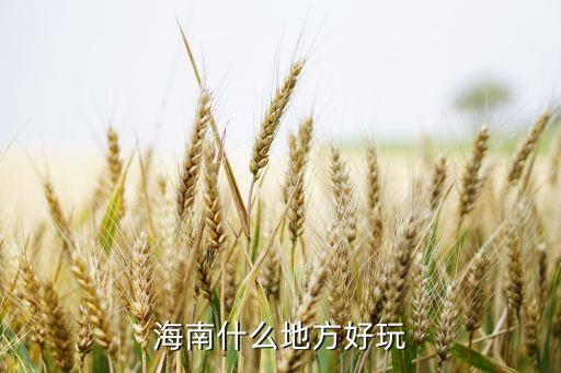 海南什么地方好玩