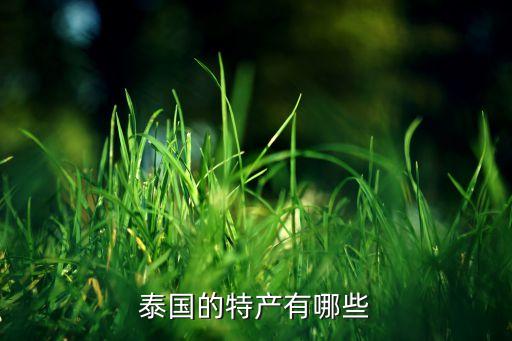 泰国特产有哪些土特产，泰国的特产有哪些