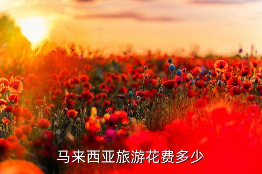 马来西亚旅游7天多少钱，去马来西亚旅游大概要多少钱