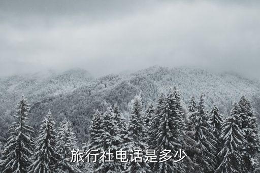 旅行社电话是多少