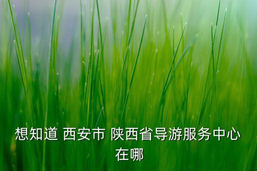 西安 导游，西安的导游服务中心都哪有