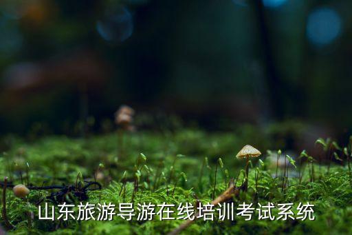 山东旅游导游在线培训考试系统