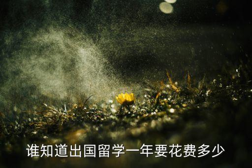 出国要花费多少钱一年，谁知道出国留学一年要花费多少