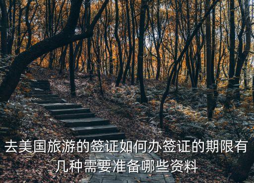 去美国旅游的签证如何办签证的期限有几种需要准备哪些资料