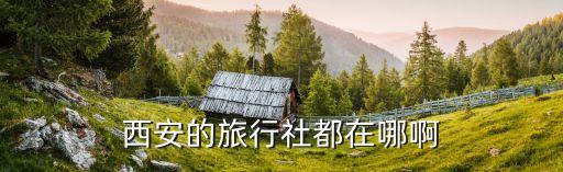 西安的旅行社都在哪啊