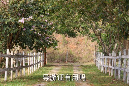 导游证有用吗