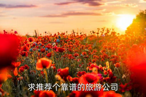 求推荐个靠谱的旅游公司
