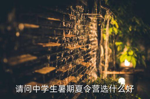 请问中学生暑期夏令营选什么好