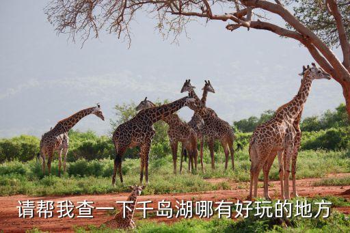 请帮我查一下千岛湖哪有好玩的地方