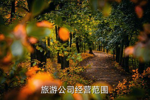 旅游公司经营范围