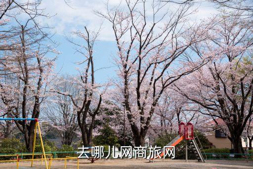 去哪儿网商旅网