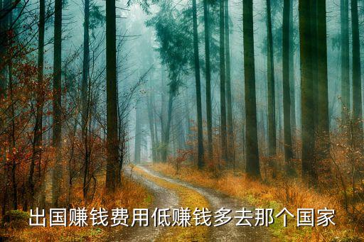 出国赚钱费用低赚钱多去那个国家