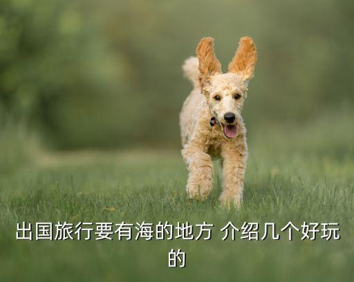 出国旅行要有海的地方 介绍几个好玩的