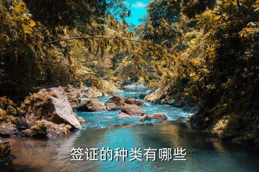 签证的种类有哪些