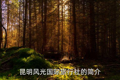 昆明风光国际旅行社的简介