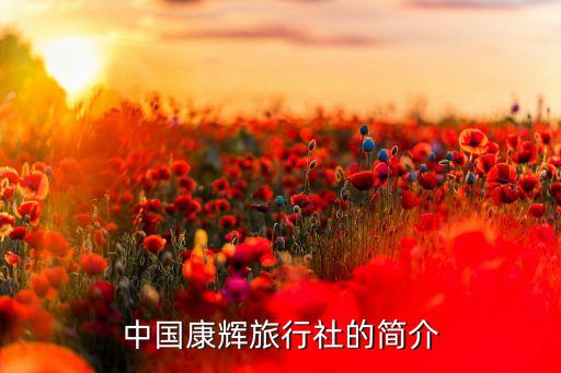 中国康辉旅行社的简介