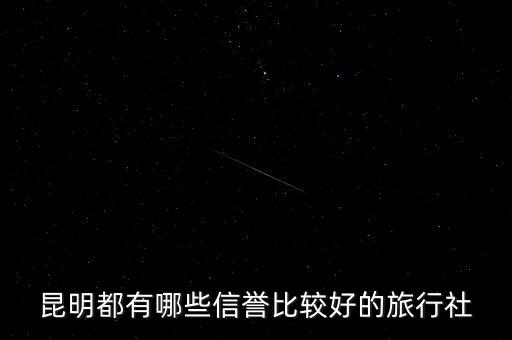 昆明都有哪些信誉比较好的旅行社