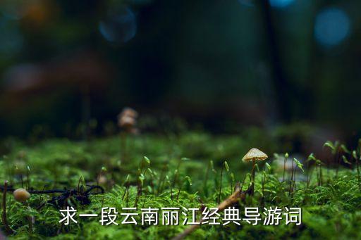 求一段云南丽江经典导游词
