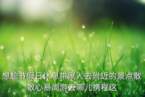 想趁节假日休息带家人去附近的景点散散心易周游去哪儿携程这
