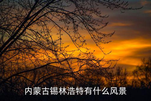 内蒙古锡林浩特有什么风景