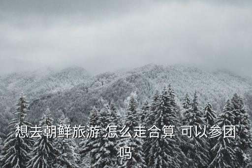 想去朝鲜旅游 怎么走合算 可以参团吗