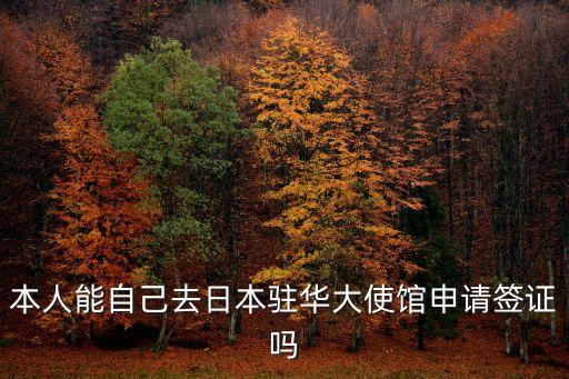 本人能自己去日本驻华大使馆申请签证吗