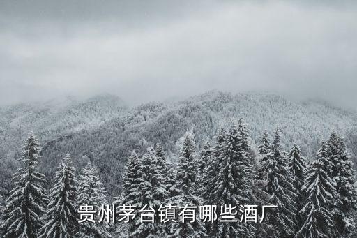 民族酒业在茅台镇排名，贵州茅台镇有哪些酒厂
