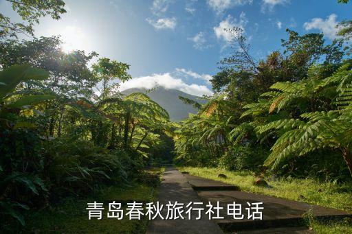 青岛旅行社有限公司，青岛旅行社中有几家5A级旅行社都是什么青岛旅行社