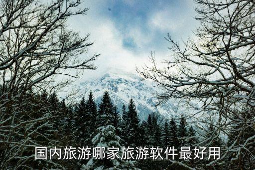 国内旅游软件排行榜，国内旅游哪家旅游软件最好用