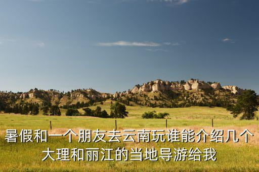 暑假和一个朋友去云南玩谁能介绍几个大理和丽江的当地导游给我