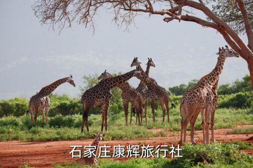 石家庄康辉旅行社