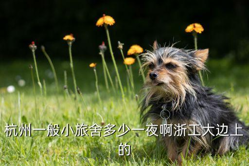 杭州一般小旅舍多少一夜啊浙工大边上的