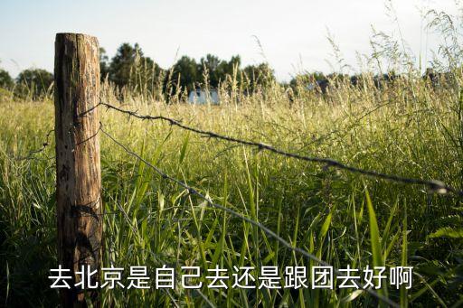 去北京是自己去还是跟团去好啊