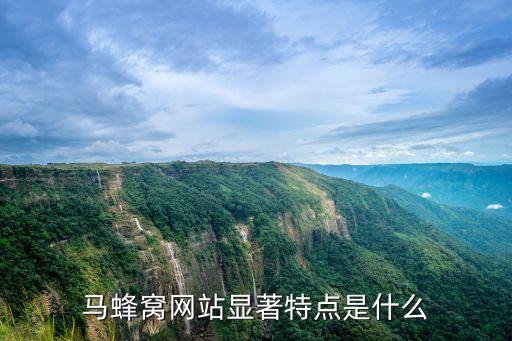马蜂窝网站显著特点是什么