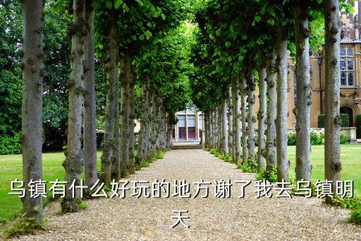 乌镇有什么好玩的地方谢了我去乌镇明天