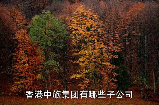 香港中旅集团有哪些子公司