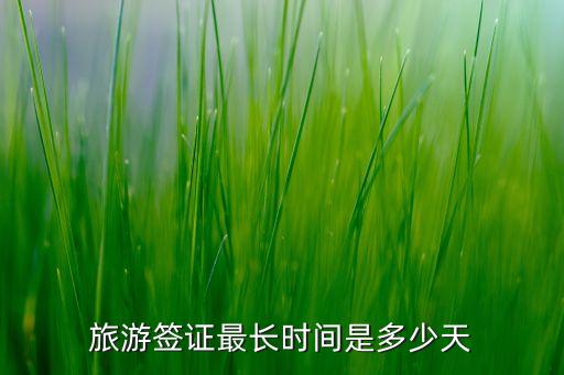 旅游签证时间多长，旅游签证一般要办多长时间