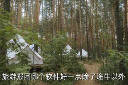 旅游团app哪个好用推荐一下，旅行达人推荐的旅行App大家觉得哪个好