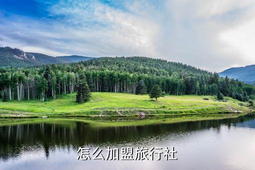 怎么加盟旅行社