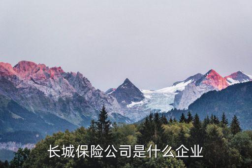 长城保险公司是什么企业