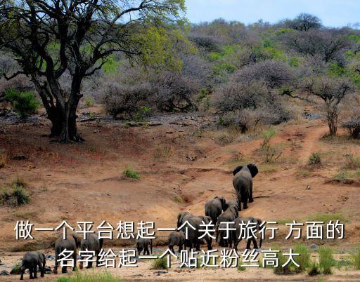 旅行app取名字，一个旅游APP用什么名字好