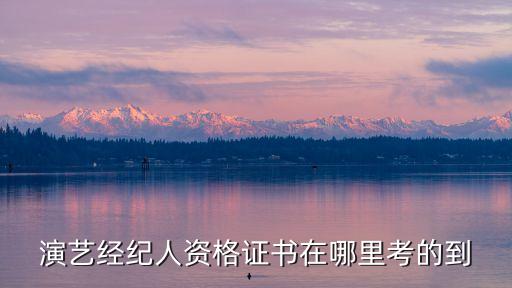 演艺经纪人资格证书在哪里考的到
