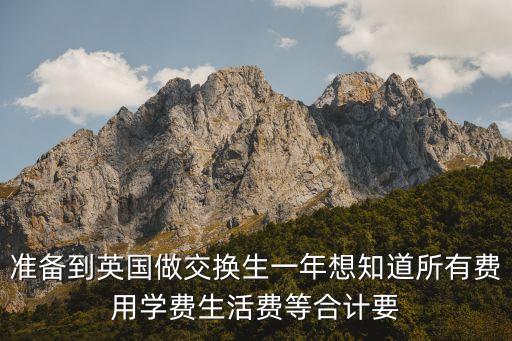 英国交换生一年费用，如果本科时期去英国当交换生大概支出要多少